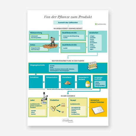 Plakat in deutscher Sprache, das den Herstellungsprozess von TCM-Produkten von der Pflanze bis zum Endprodukt anschaulich zeigt.