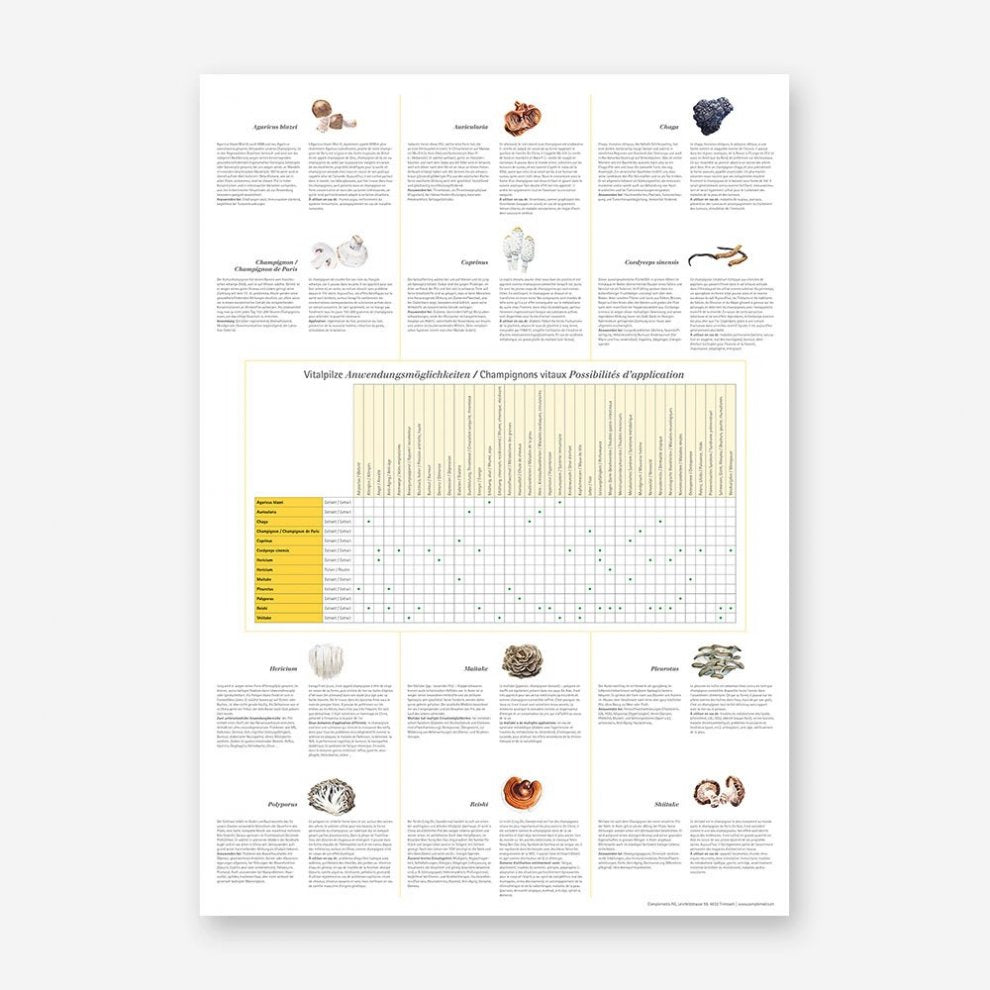 Vitalpilz-Poster mit Tabellenübersicht zu Anwendungsmöglichkeiten und Texten zu zwölf Heilpilzen – ergänzt durch botanische Illustrationen.