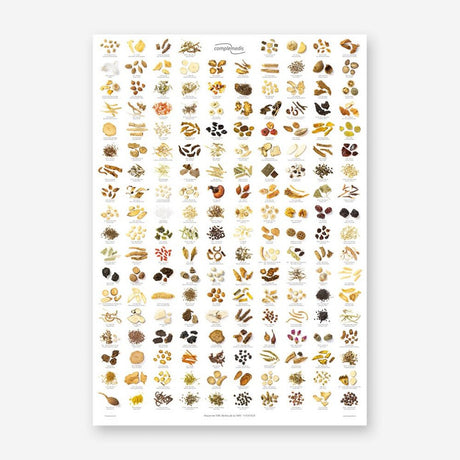 Plakat mit über 200 chinesischen Kräutern, detailliert dargestellt mit botanischen und chinesischen Bezeichnungen, Größe 70 cm x 100 cm.