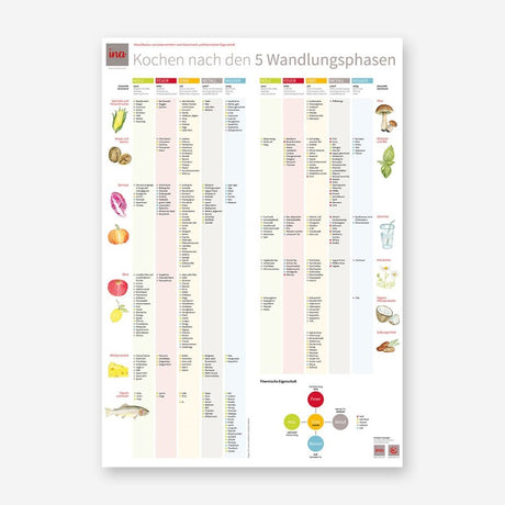 ​Nahrungsmittel-Poster "Kochen nach den 5 Wandlungen" im DIN A2-Format mit farblich gestalteter Übersicht zu Lebensmitteln gemäß der Fünf-Elemente-Lehre.​